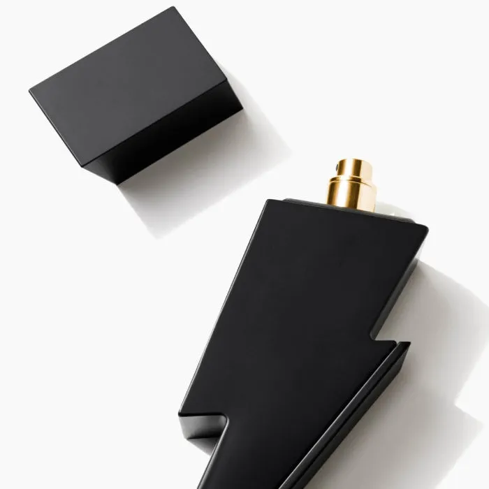 BAD BOY LE PARFUM