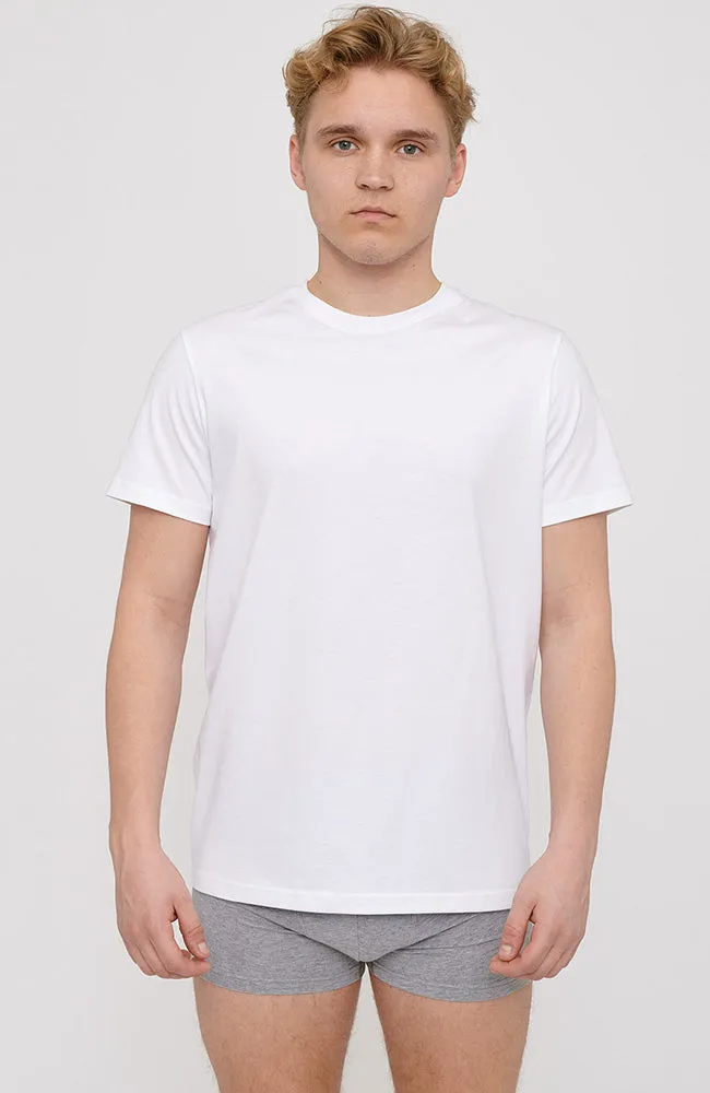 Core Slim fit tee 2-pack