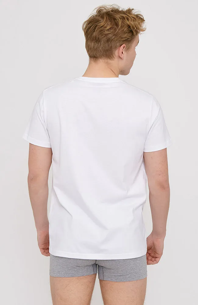Core Slim fit tee 2-pack