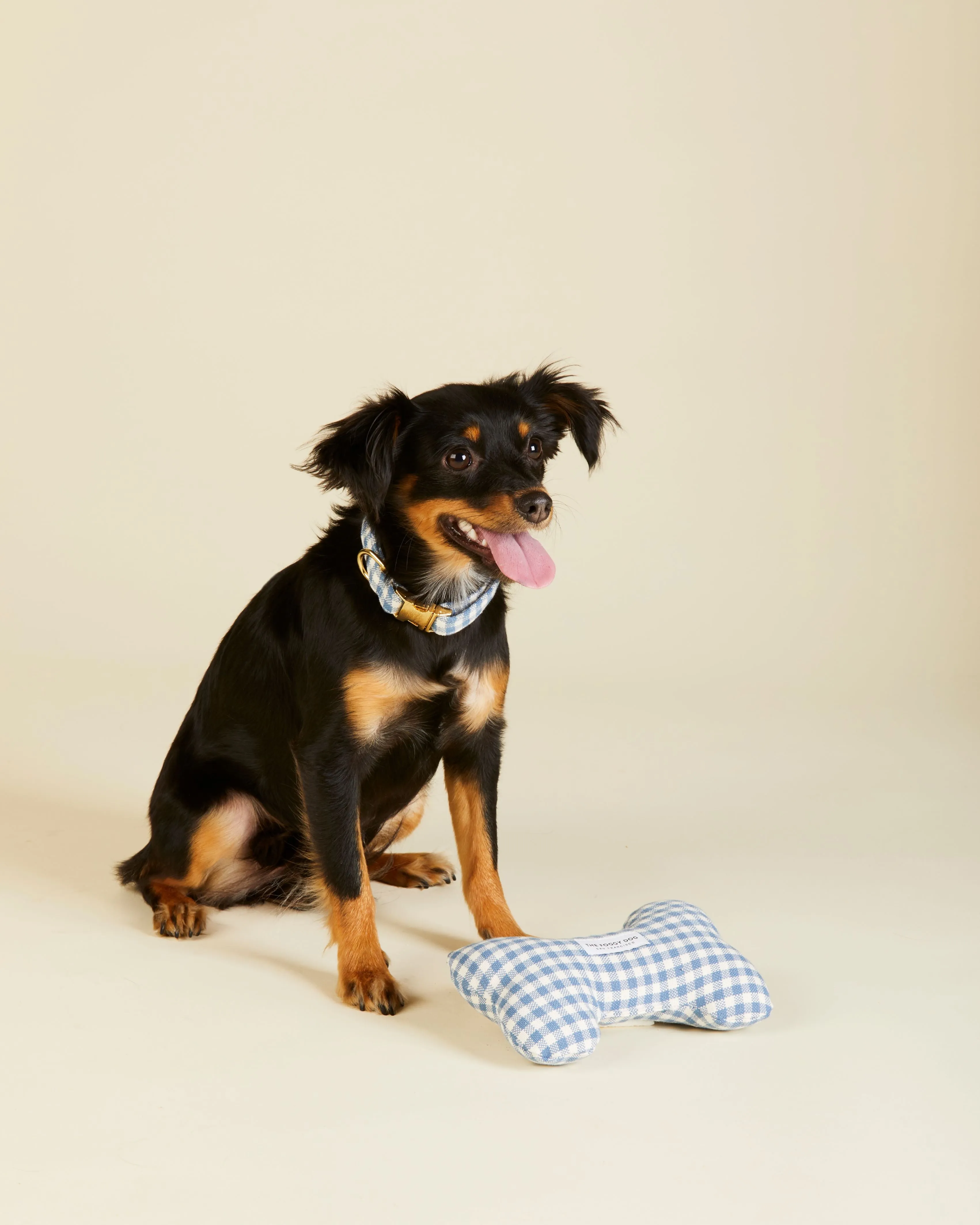 DJ X TFD Squeaky Toy in Blue Gingham